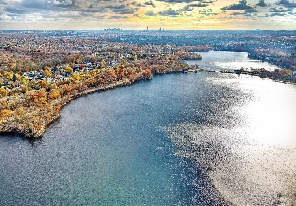 25 Myopia Road Winchester, MA 01890 - Photo 38 of 39