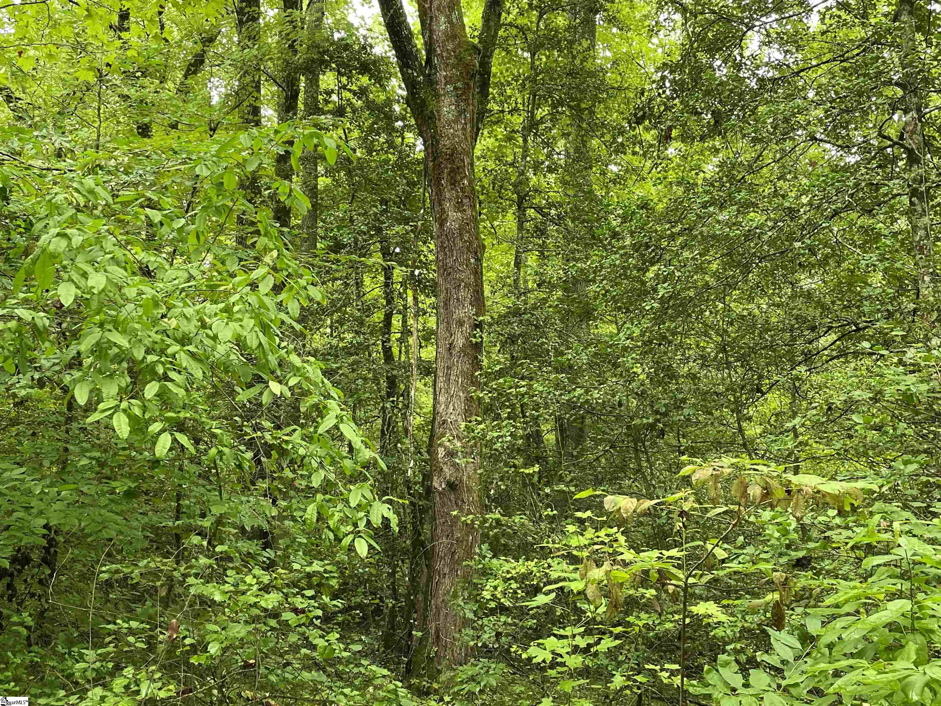 0 North Little River Road Salem, SC 29676 - Photo 11 of 24