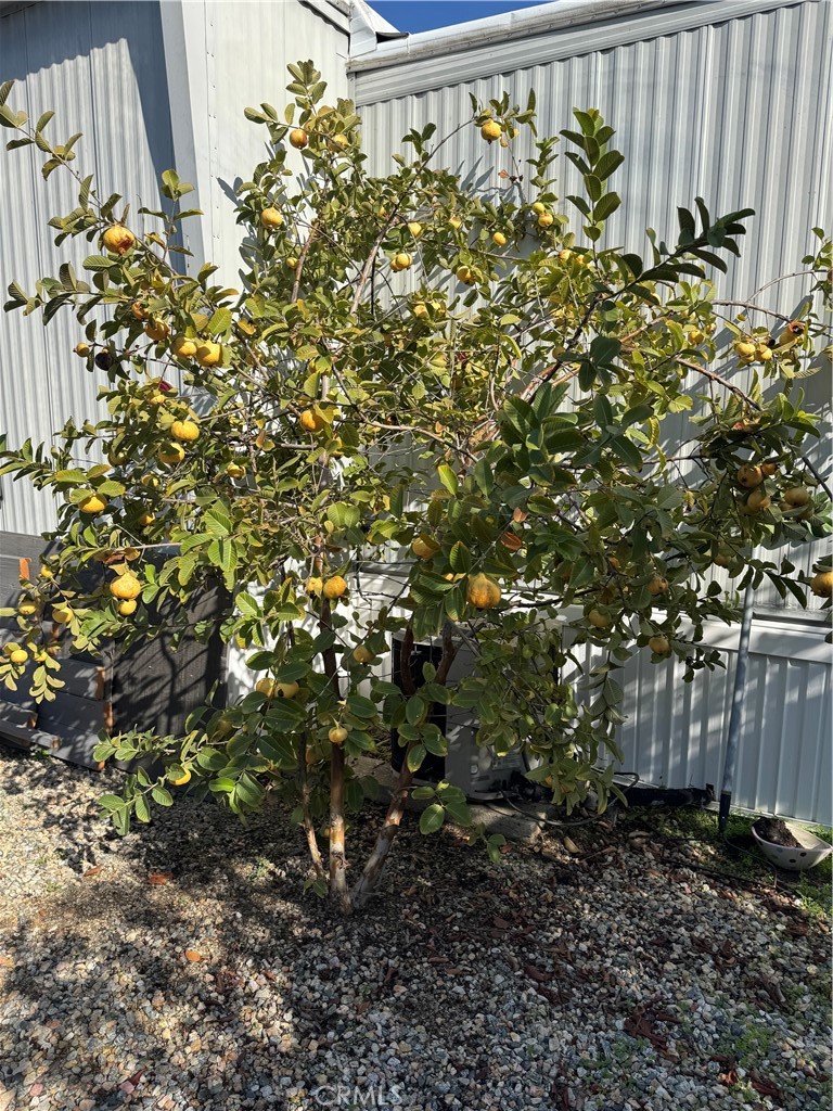 301 East Foothill, Unit 63 Pomona, CA 91767 - Photo 18 of 50