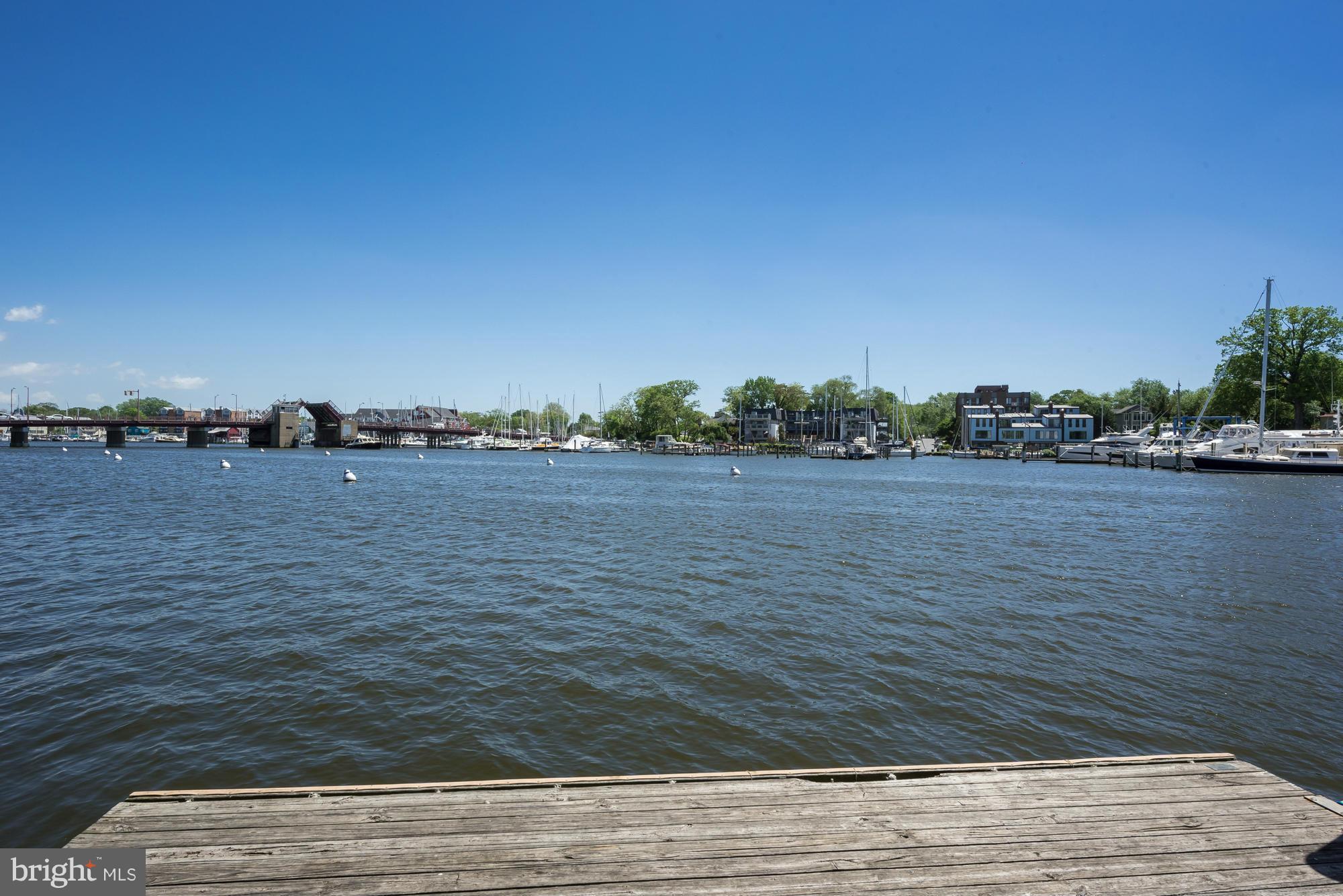 85 Shipwright Street Annapolis, MD 21401 - Photo 28 of 29 Community, Spa Creek