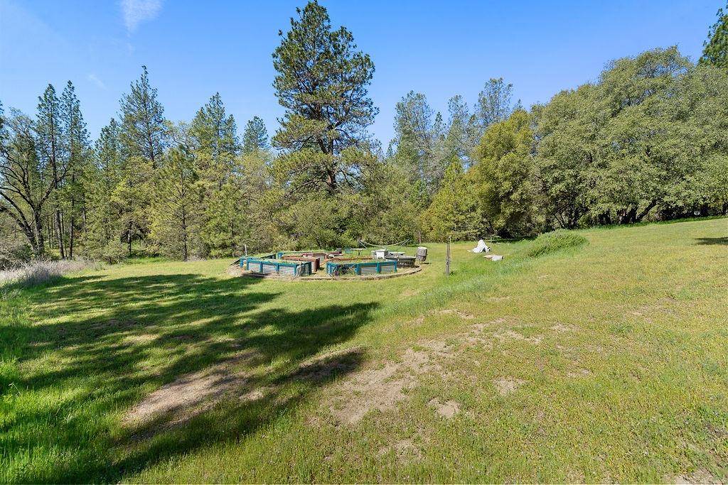2940 Horseshoe Bend Road Somerset, CA 95684 - Photo 49 of 57