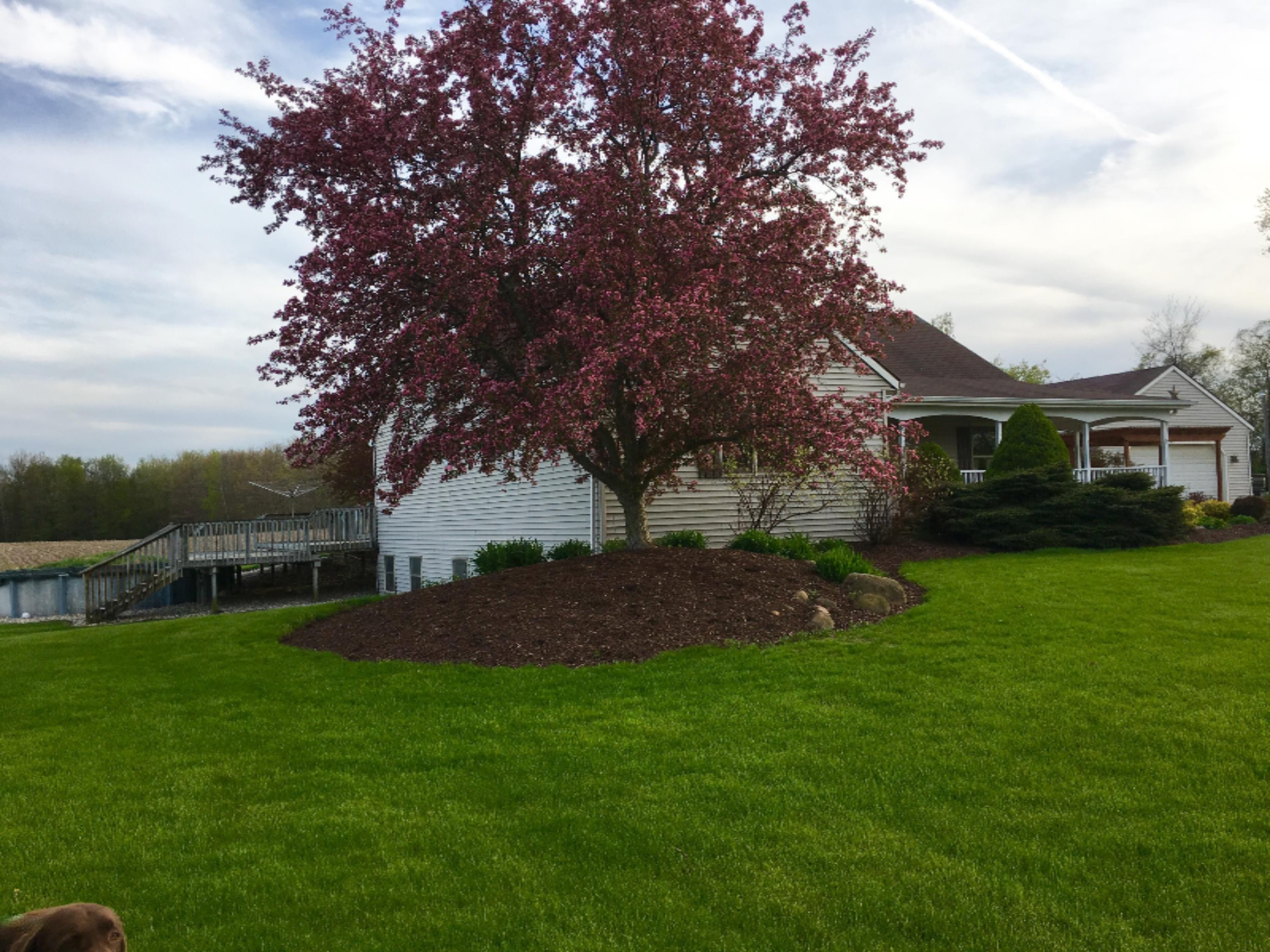 16617 East Moore Road Grant, MI 49327 - Photo 5 of 32 FullSizeRender