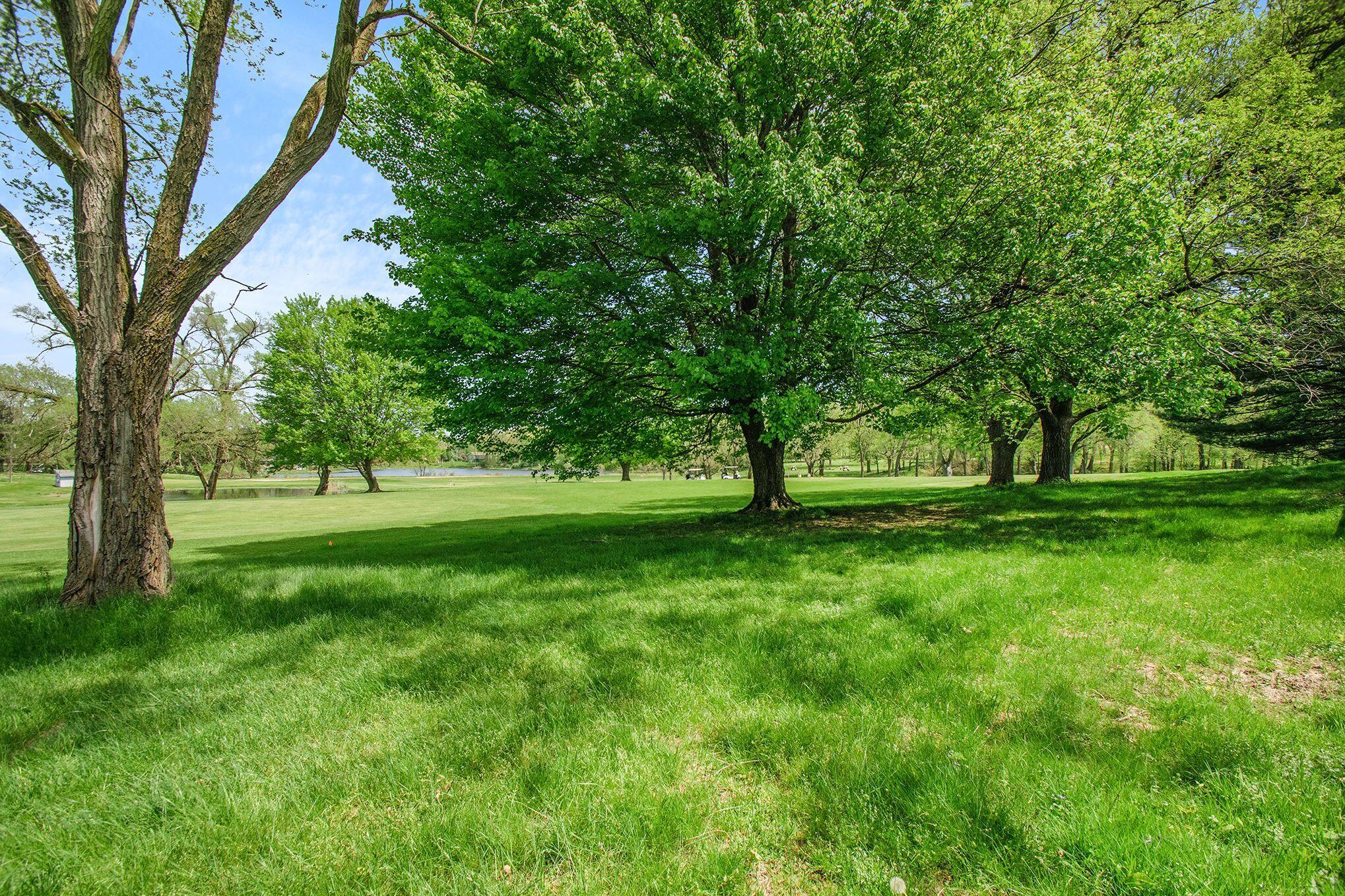 16521 Rynearson Street Buchanan, MI 49107 - Photo 20 of 29 16512 Rynearson view 1