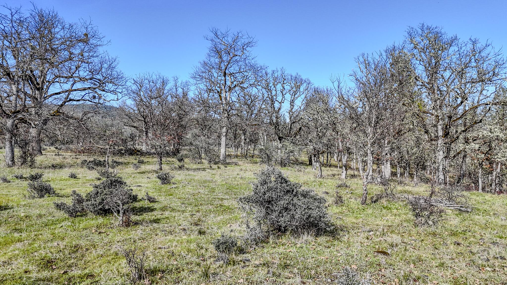 506 Greenleaf Drive Eagle Point, OR 97524 - Photo 28 of 38 DJI_20260227141242_0565_D-HDR