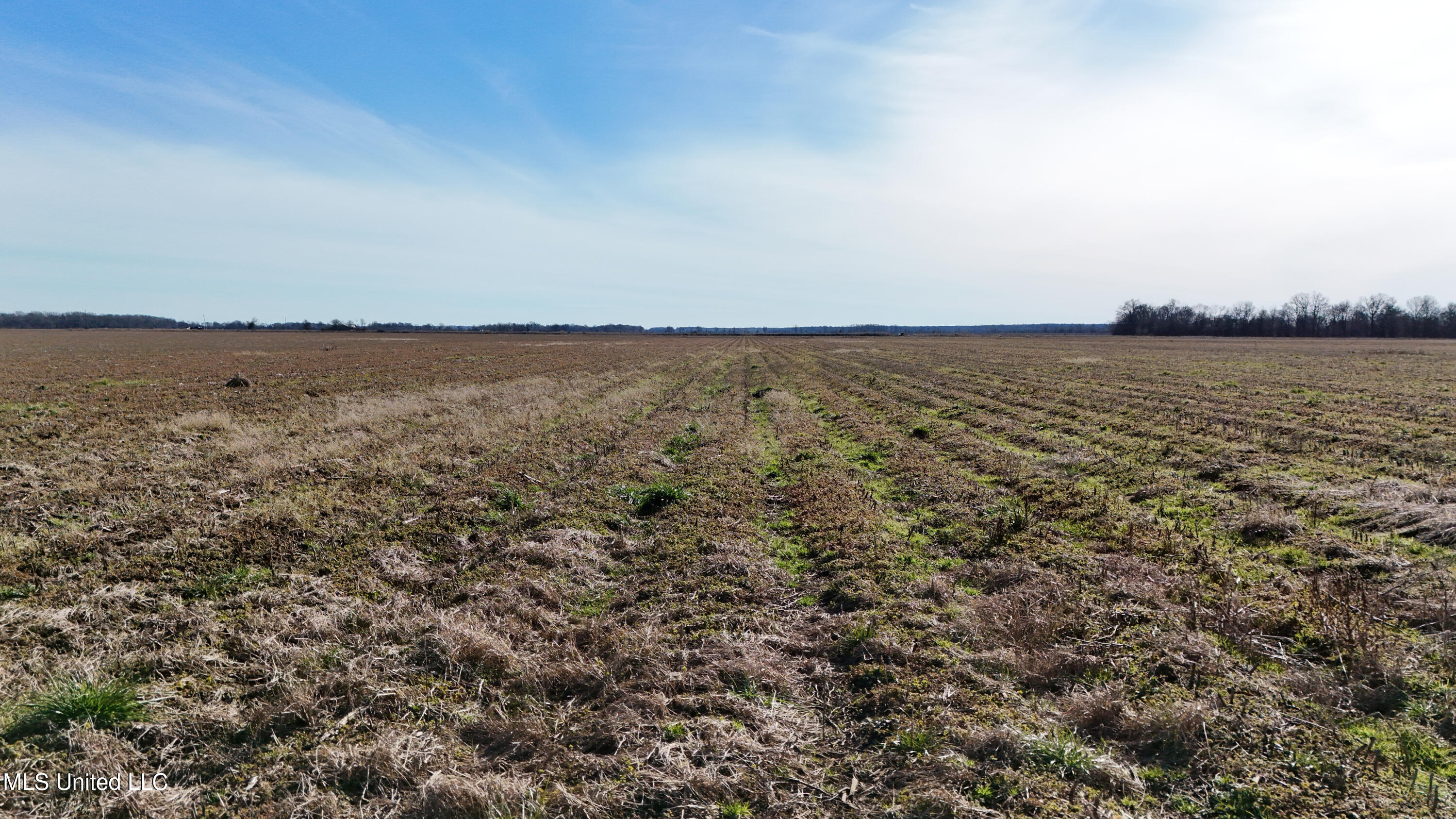 1 Sbravate Road Lambert, MS 38643 - Photo 2 of 9 DJI_20250114152831_0003_D