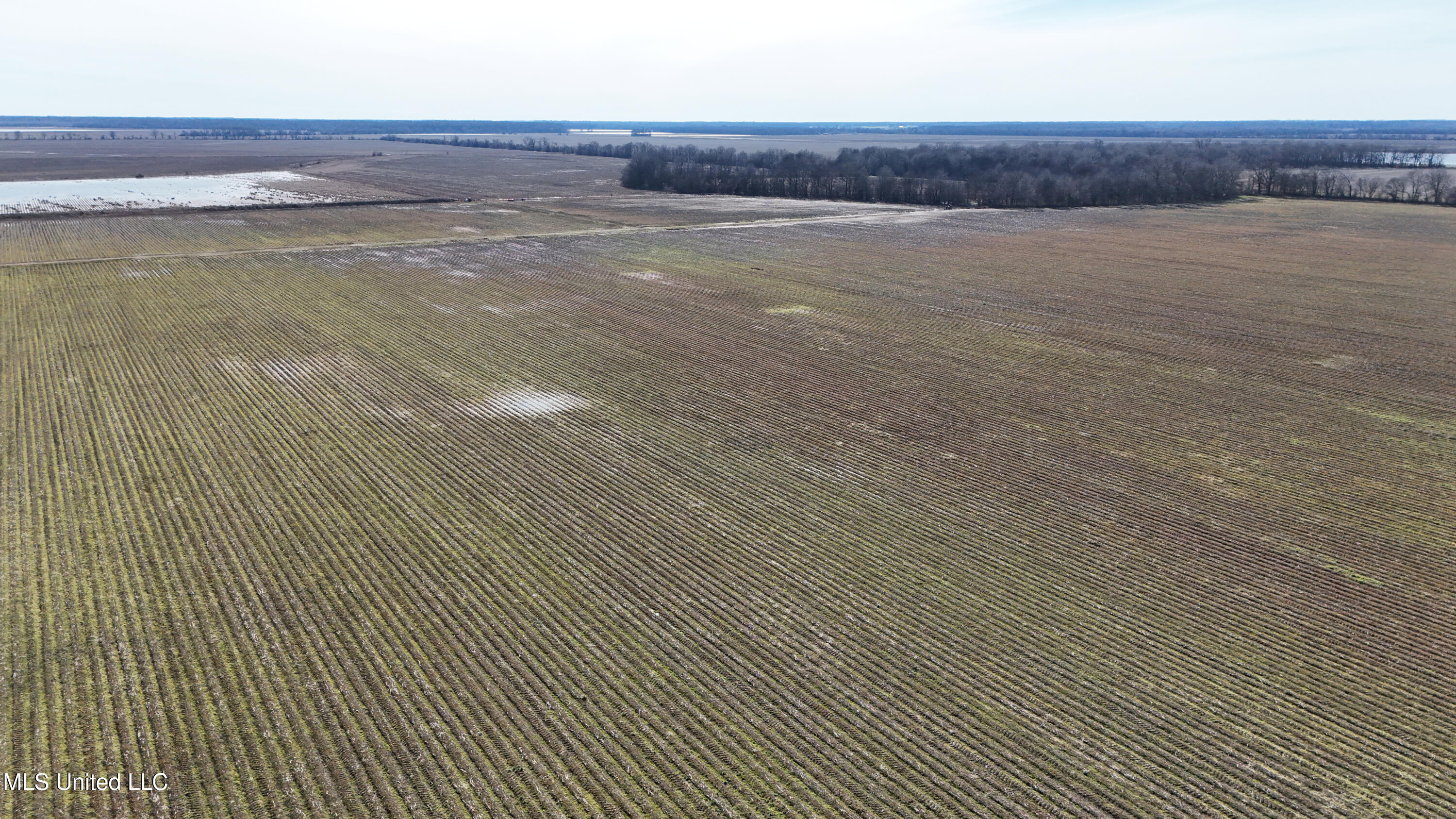 1 Sbravate Road Lambert, MS 38643 - Photo 5 of 9 DJI_20250114152749_0001_D