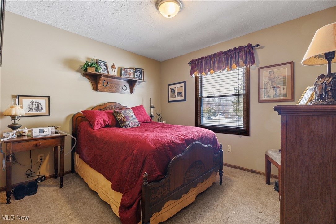 14816 Denman Road Wakeman, OH 44889 - Photo 14 of 41 Bedroom featuring light carpet, a textured ceiling, and baseboards