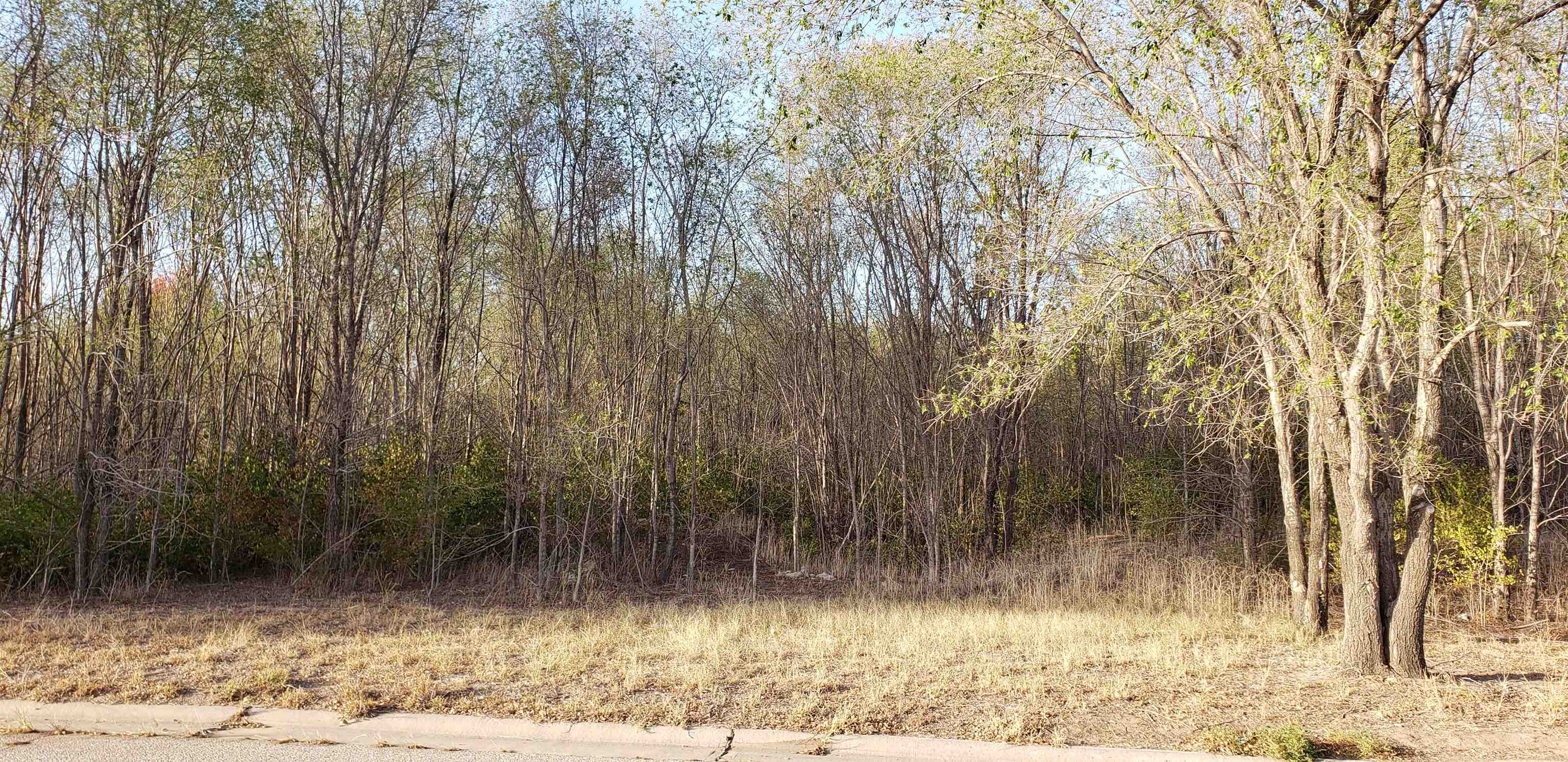 5017 South Osage Circle Wichita, KS 67217 - Photo 5 of 5