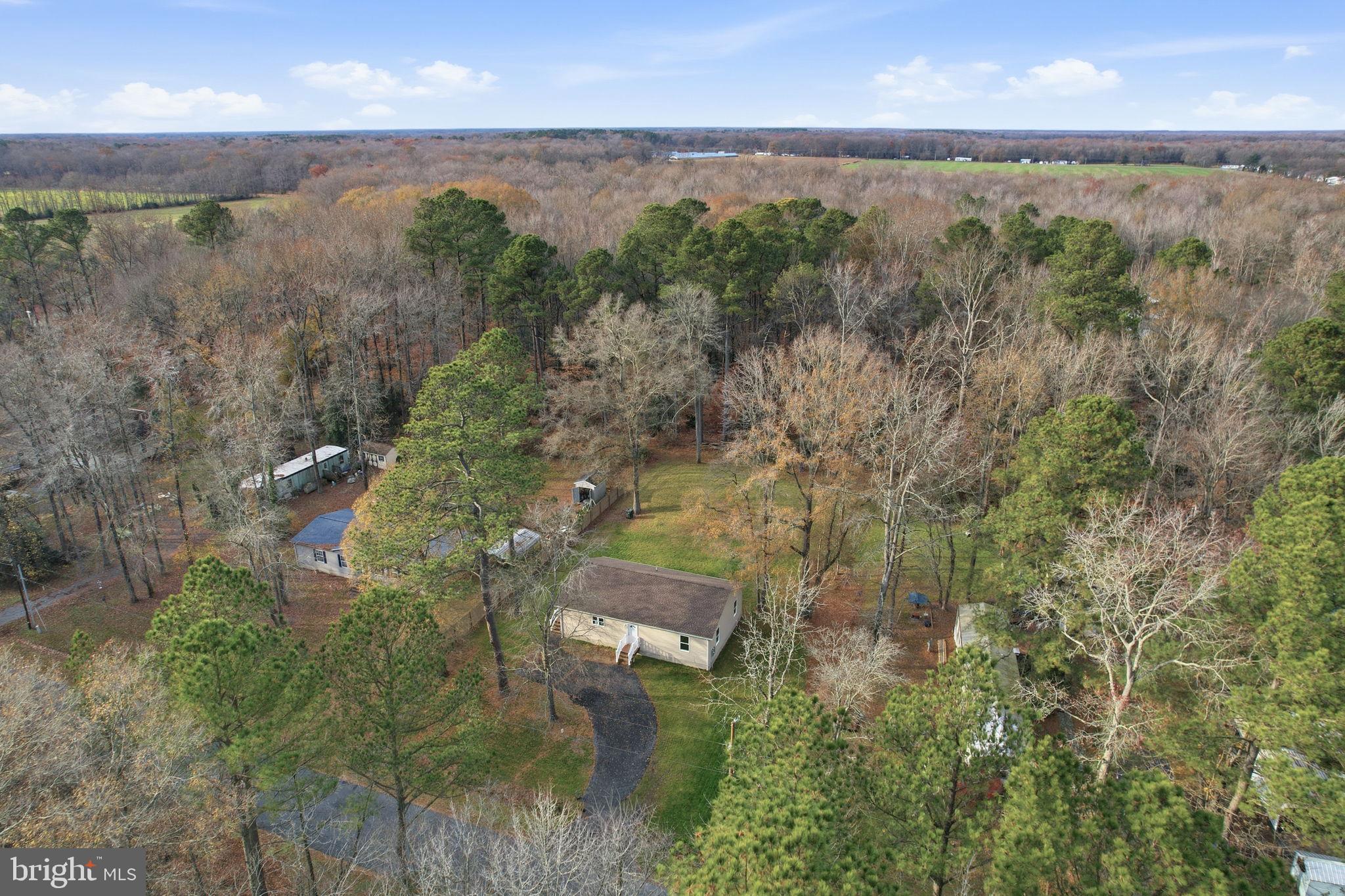 897 Horsepen Road Felton, DE 19943 - Photo 5 of 38 an aerial view of residential houses with outdoor space and trees
