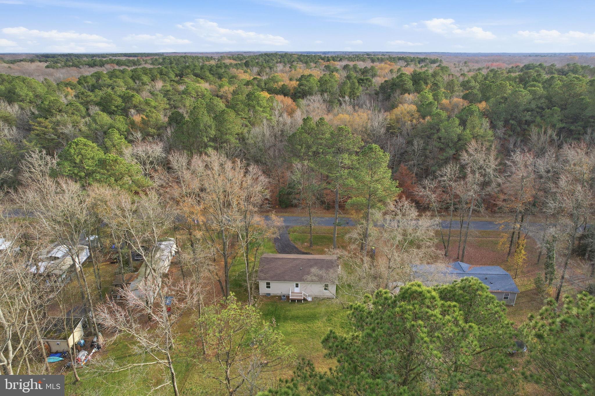 897 Horsepen Road Felton, DE 19943 - Photo 6 of 38 a view of a lake with a yard