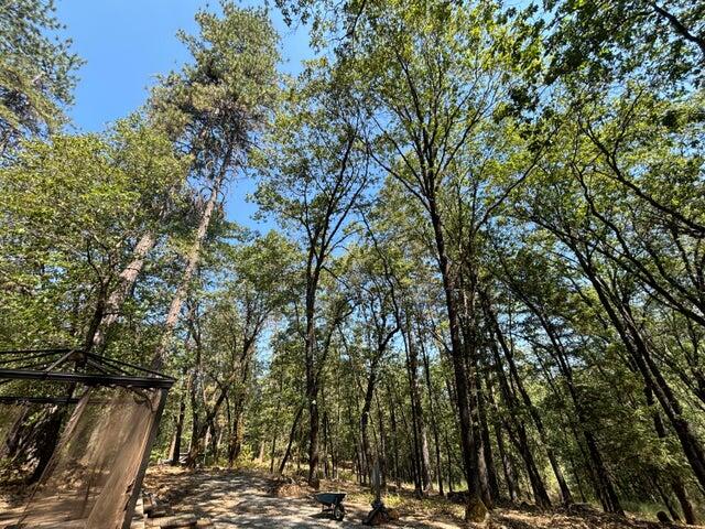 0 Statton Acres Road Lakehead, CA 96051 - Photo 14 of 31 a view of outdoor space with sitting space