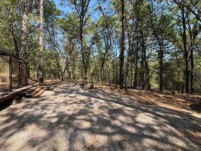 0 Statton Acres Road Lakehead, CA 96051 - Photo 16 of 31 a view of a tree with a yard