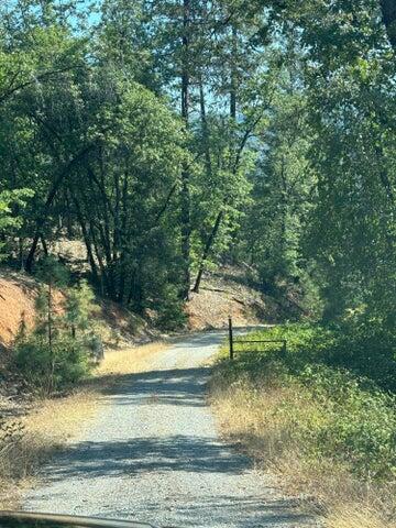 0 Statton Acres Road Lakehead, CA 96051 - Photo 17 of 31 a view of a yard with a tree