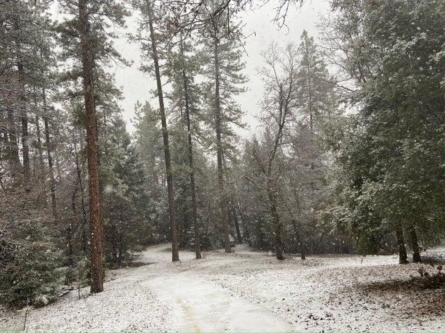 0 Statton Acres Road Lakehead, CA 96051 - Photo 21 of 31 a view of outdoor space with trees