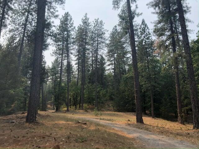 0 Statton Acres Road Lakehead, CA 96051 - Photo 24 of 31 a view of a yard with trees