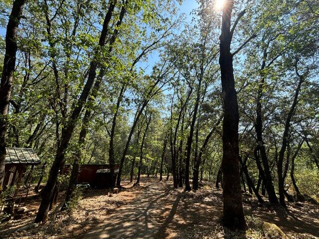 0 Statton Acres Road Lakehead, CA 96051 - Photo 28 of 31 a view of outdoor space