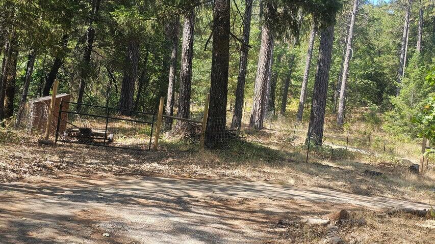 0 Statton Acres Road Lakehead, CA 96051 - Photo 4 of 31 a backyard of a house with lots of green space