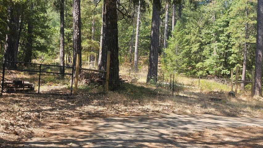 0 Statton Acres Road Lakehead, CA 96051 - Photo 9 of 31 a backyard of a house with lots of green space