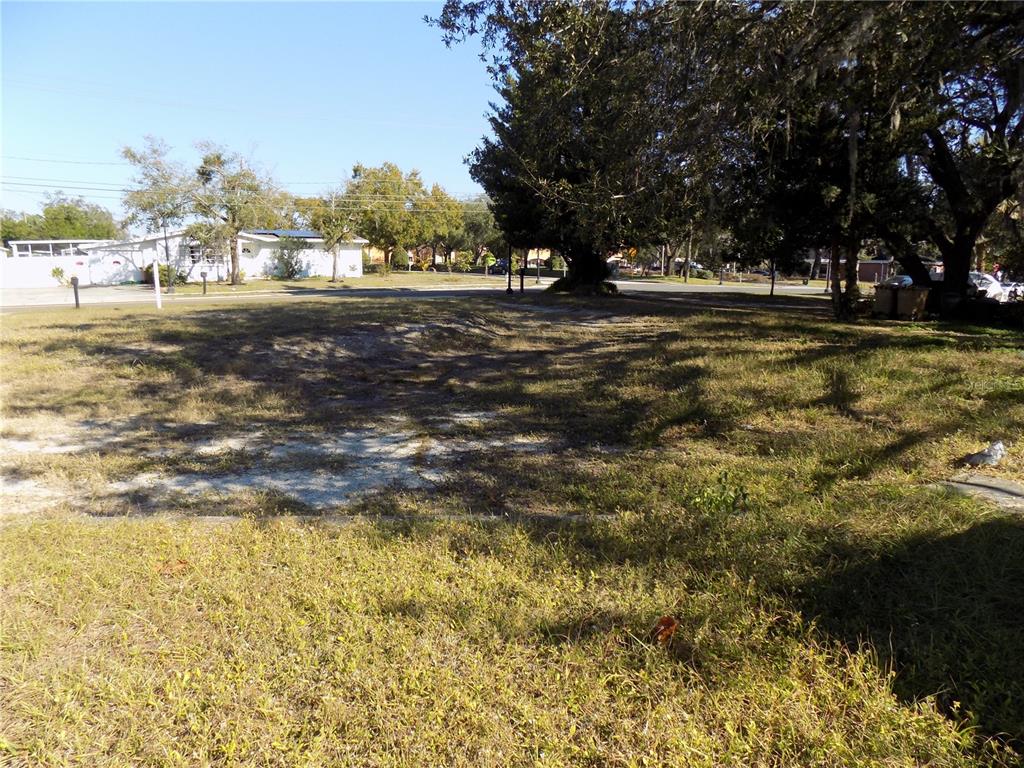 5509 Temple Heights Road Temple Terrace, FL 33617 - Photo 5 of 9 a view of road and trees