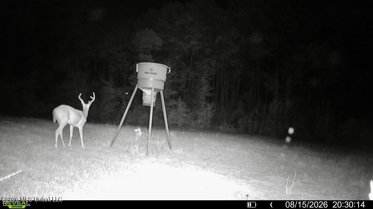 11330 Ms-429 Carthage, MS 39051 - Photo 124 of 128 5D26E7DB-6C65-4834-8ACE-2F6A7452CDA4IMG_