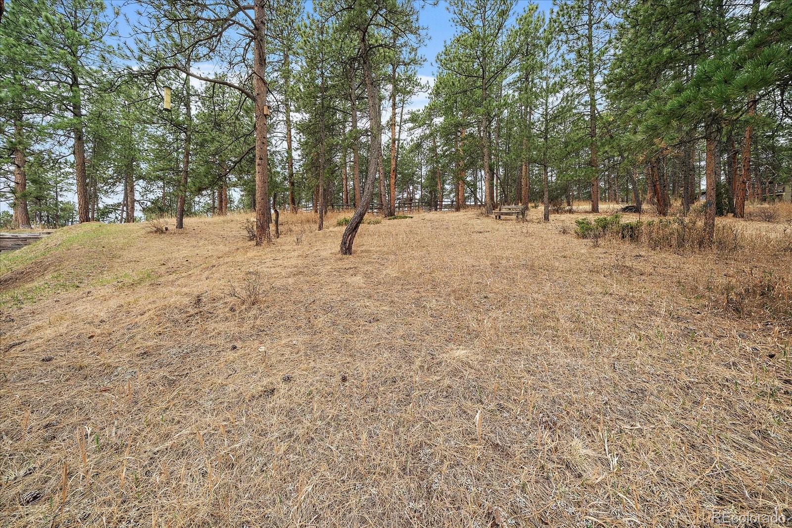 4039 Histead Way Evergreen, CO 80439 - Photo 41 of 48 a view of outdoor space with trees