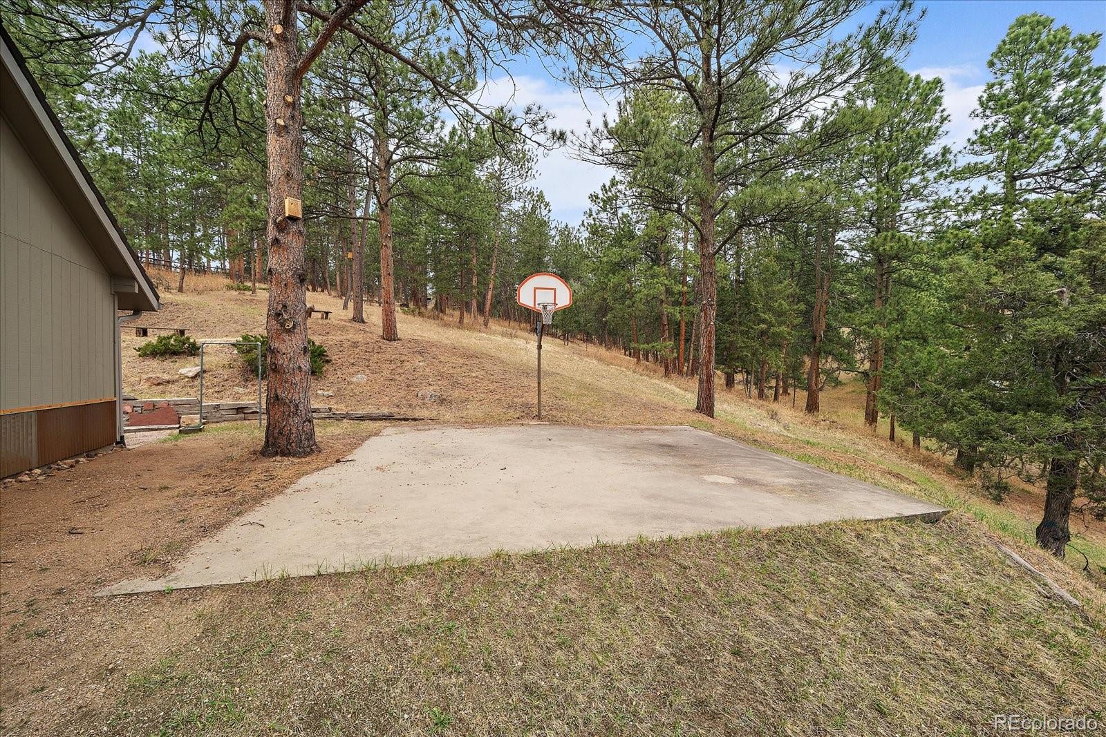 4039 Histead Way Evergreen, CO 80439 - Photo 42 of 48 a view of a park with trees
