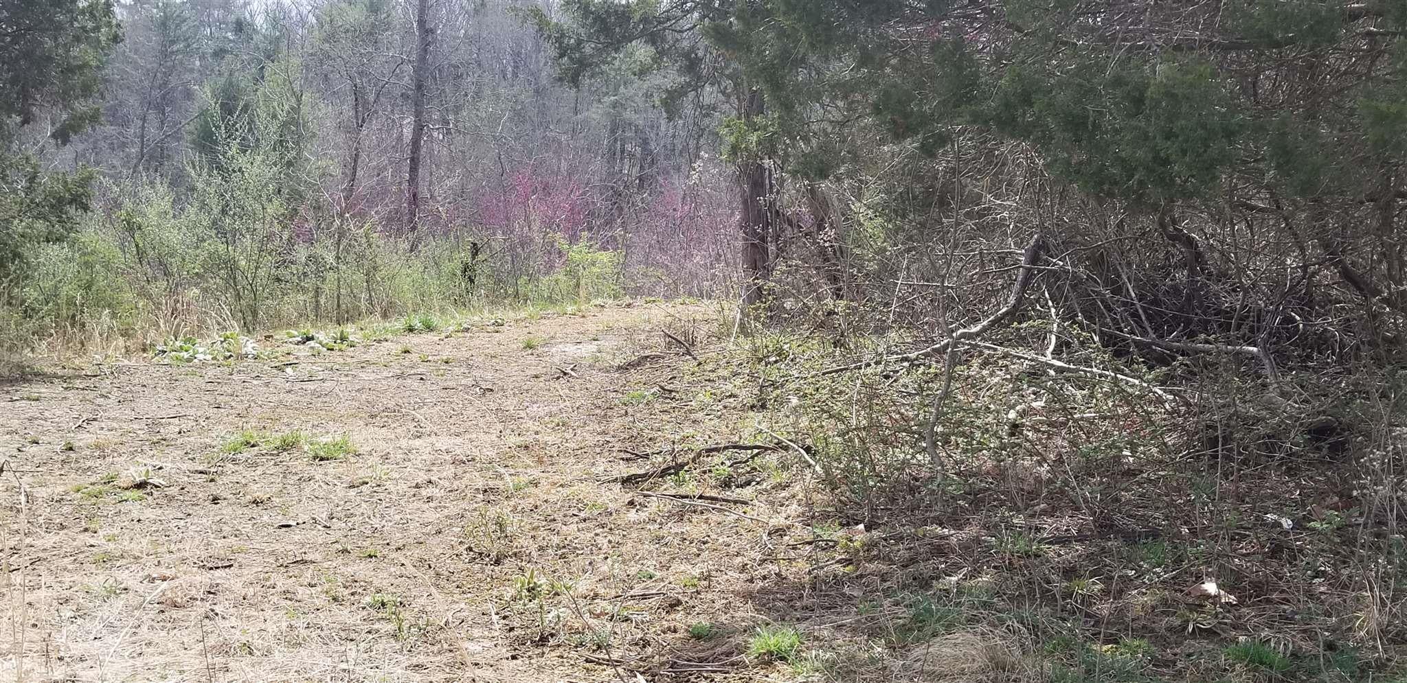 Lot 10 Hurston Road Pulaski, VA 24301 - Photo 10 of 15 Gallery Image 10