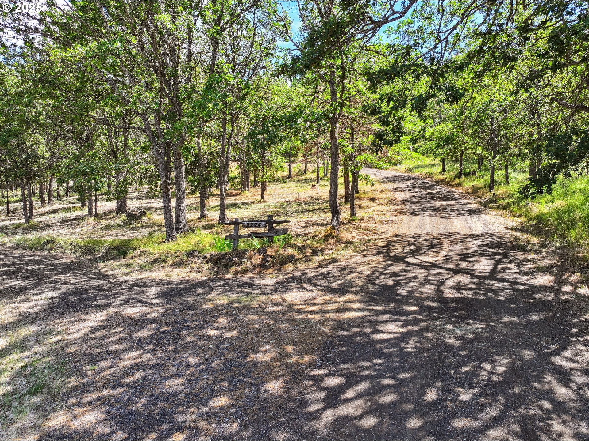 2224 Foster Place Goldendale, WA 98620 - Photo 40 of 45 a view of yard with trees