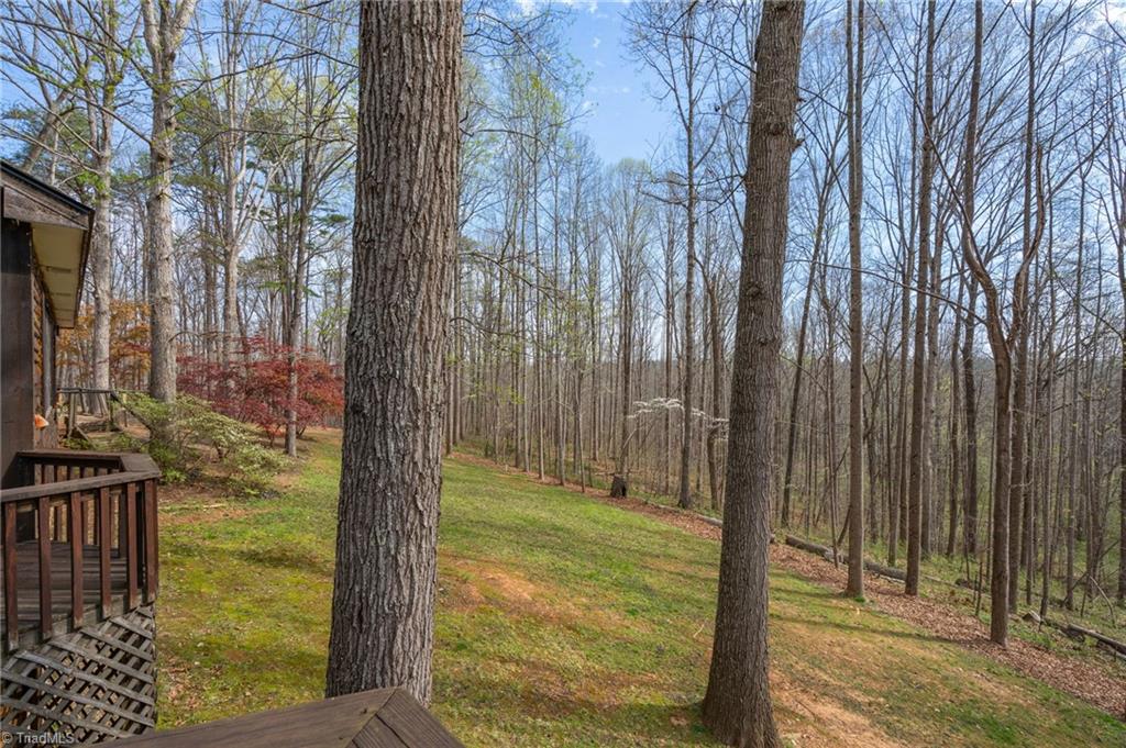 236 Jacobs Creek Road Madison, NC 27025 - Photo 38 of 50