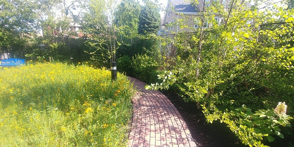 22 Mechanic Street, Unit 507 Quincy, MA 02169 - Photo 15 of 21 a view of a yard