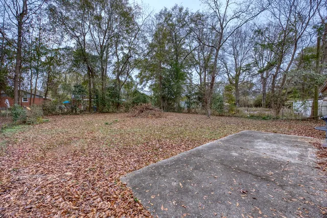 a view of a yard with a tree
