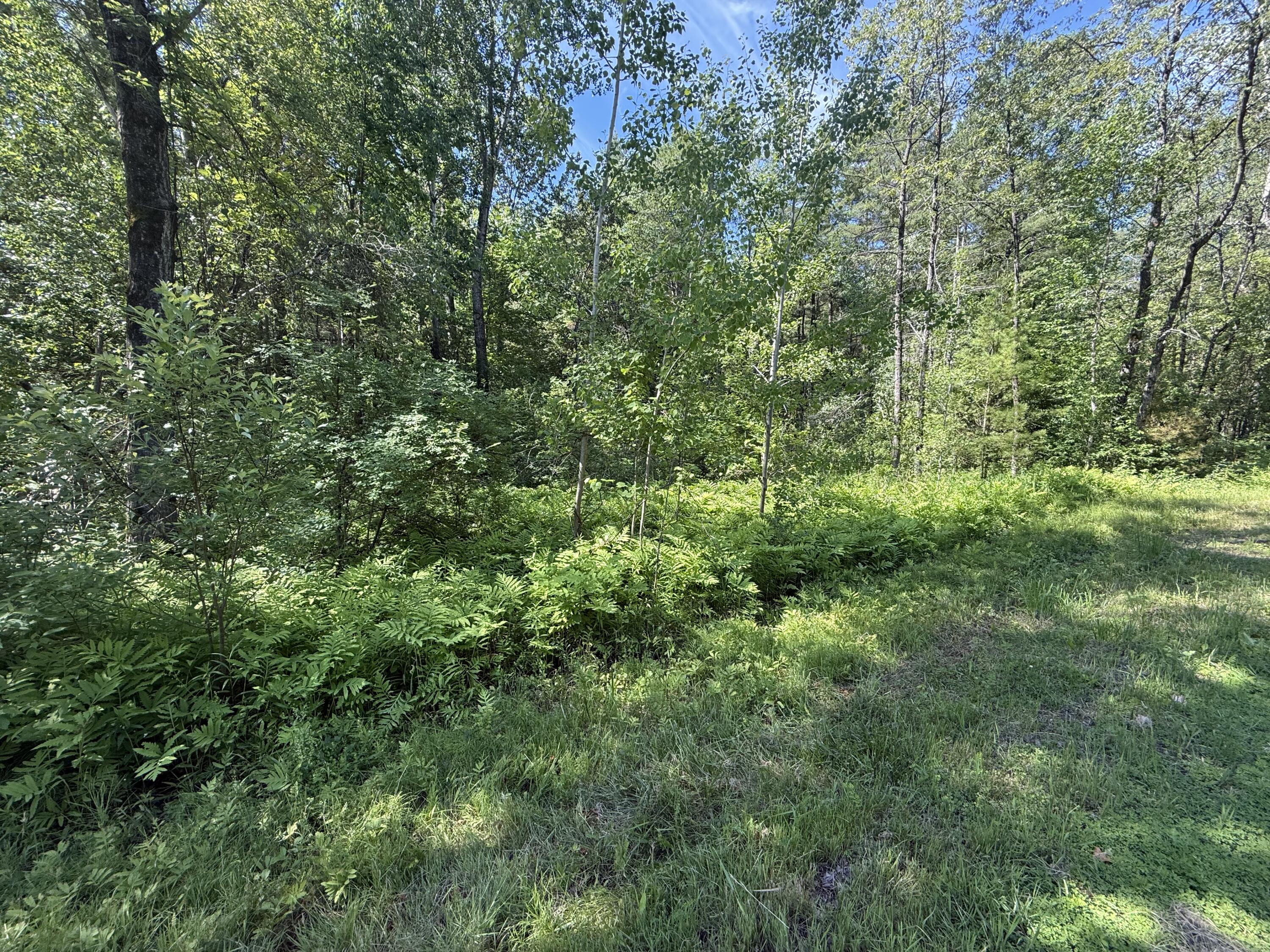 0 Quaker Highlands Road Peru, NY 12972 - Photo 3 of 9