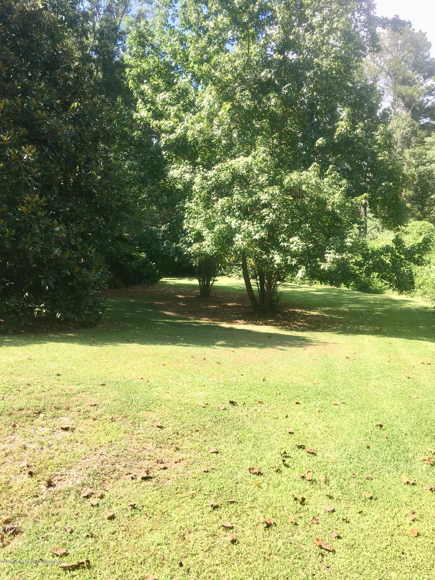 2087 Sipsey Road Jasper, AL 35504 - Photo 4 of 16 Gallery Image 4