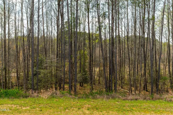 a view of swimming pool and tall trees