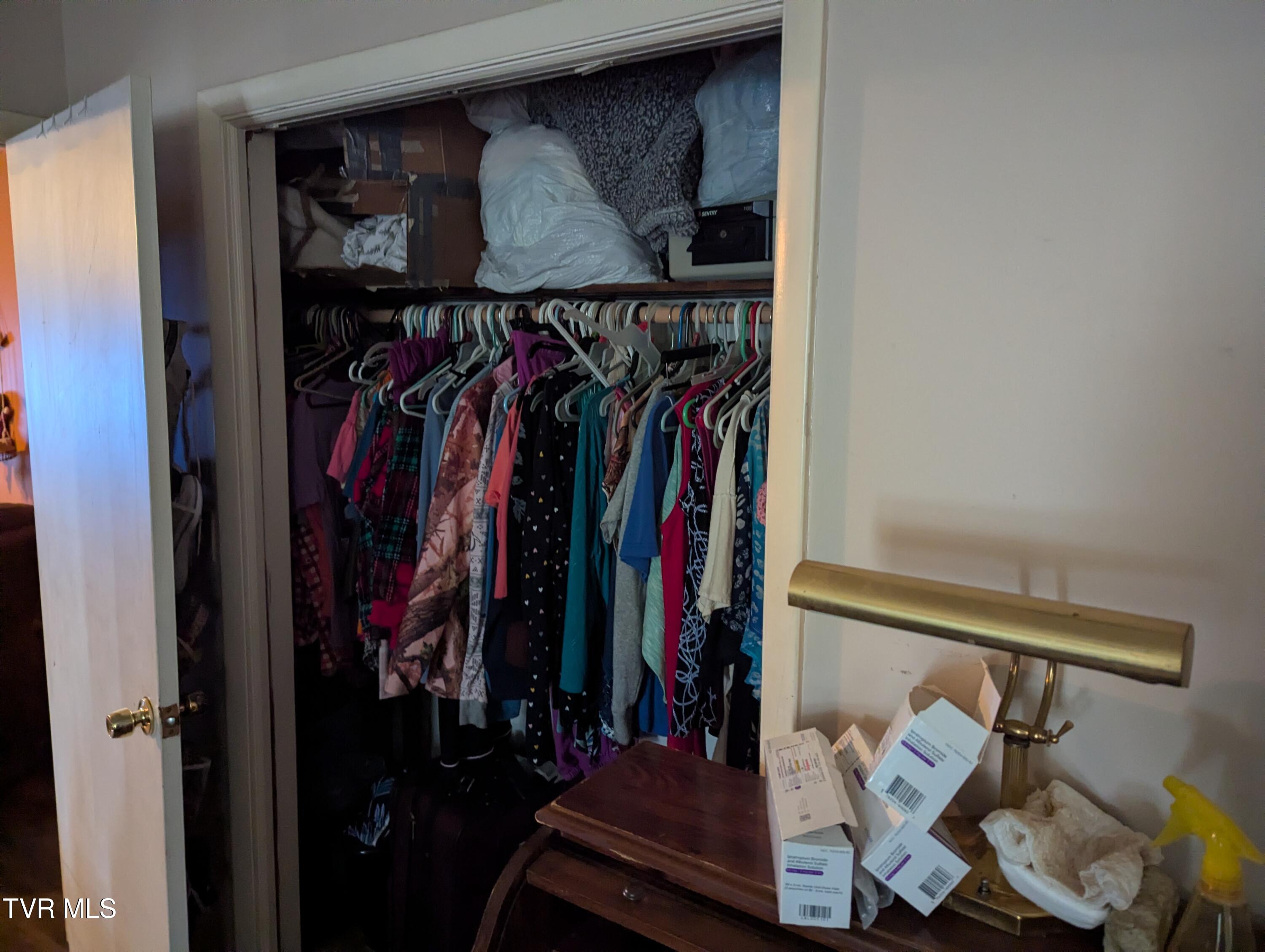 61 Rattlesnake Ridge Chuckey, TN 37641 - Photo 32 of 59 Primary BR closit