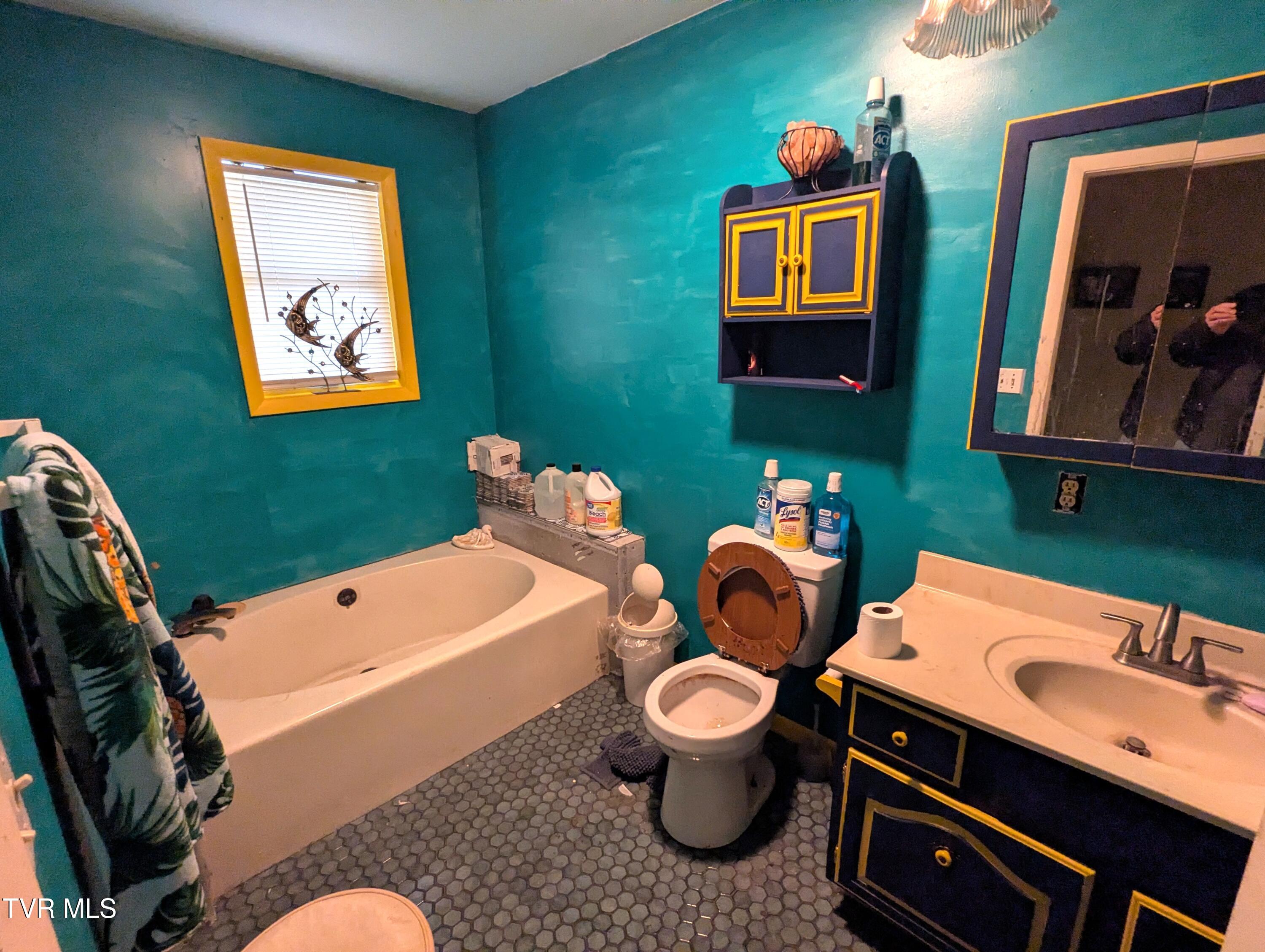 61 Rattlesnake Ridge Chuckey, TN 37641 - Photo 40 of 59 Bathroom