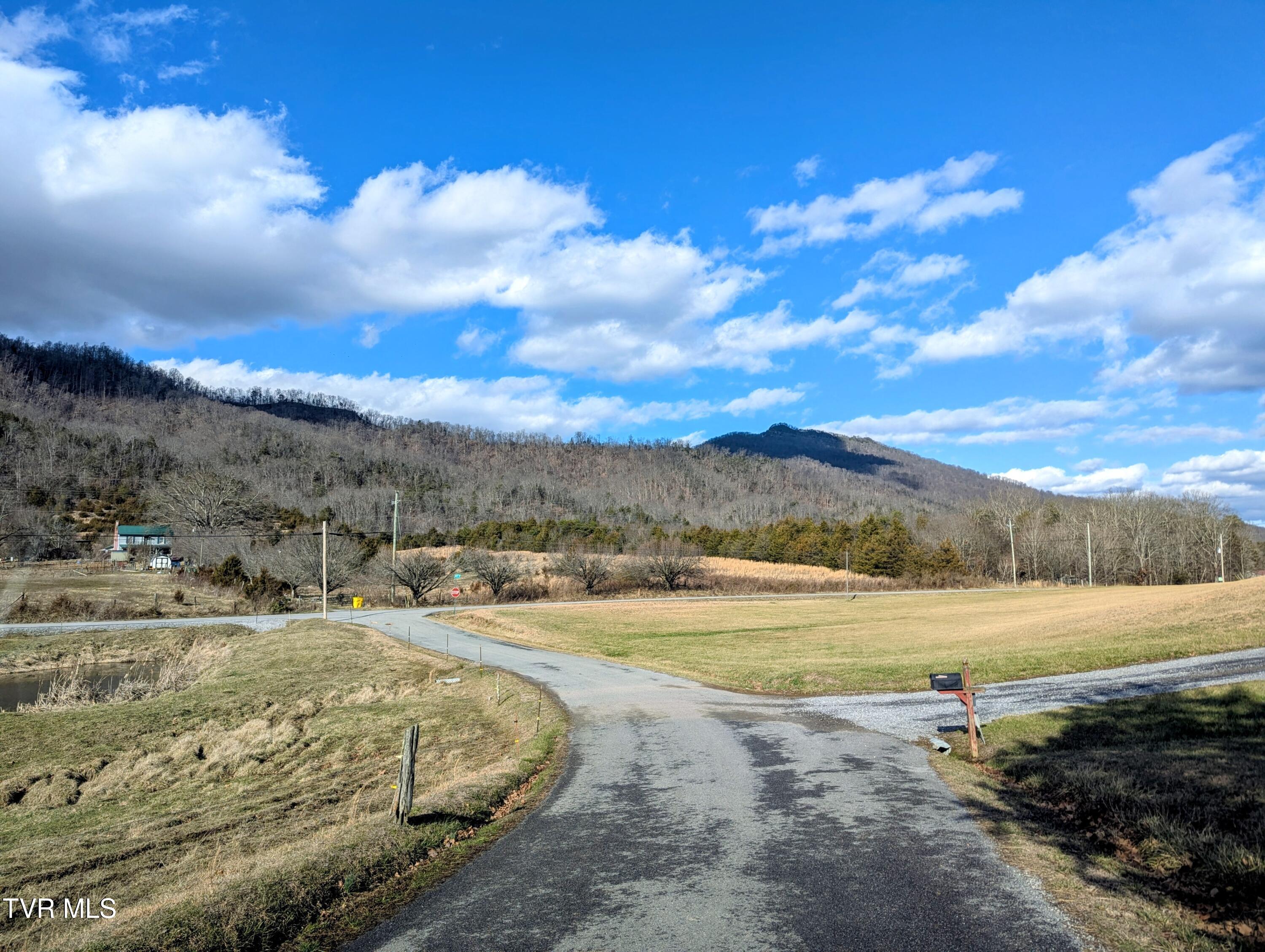 61 Rattlesnake Ridge Chuckey, TN 37641 - Photo 8 of 59 Rattlesnake Ridge view sunny day