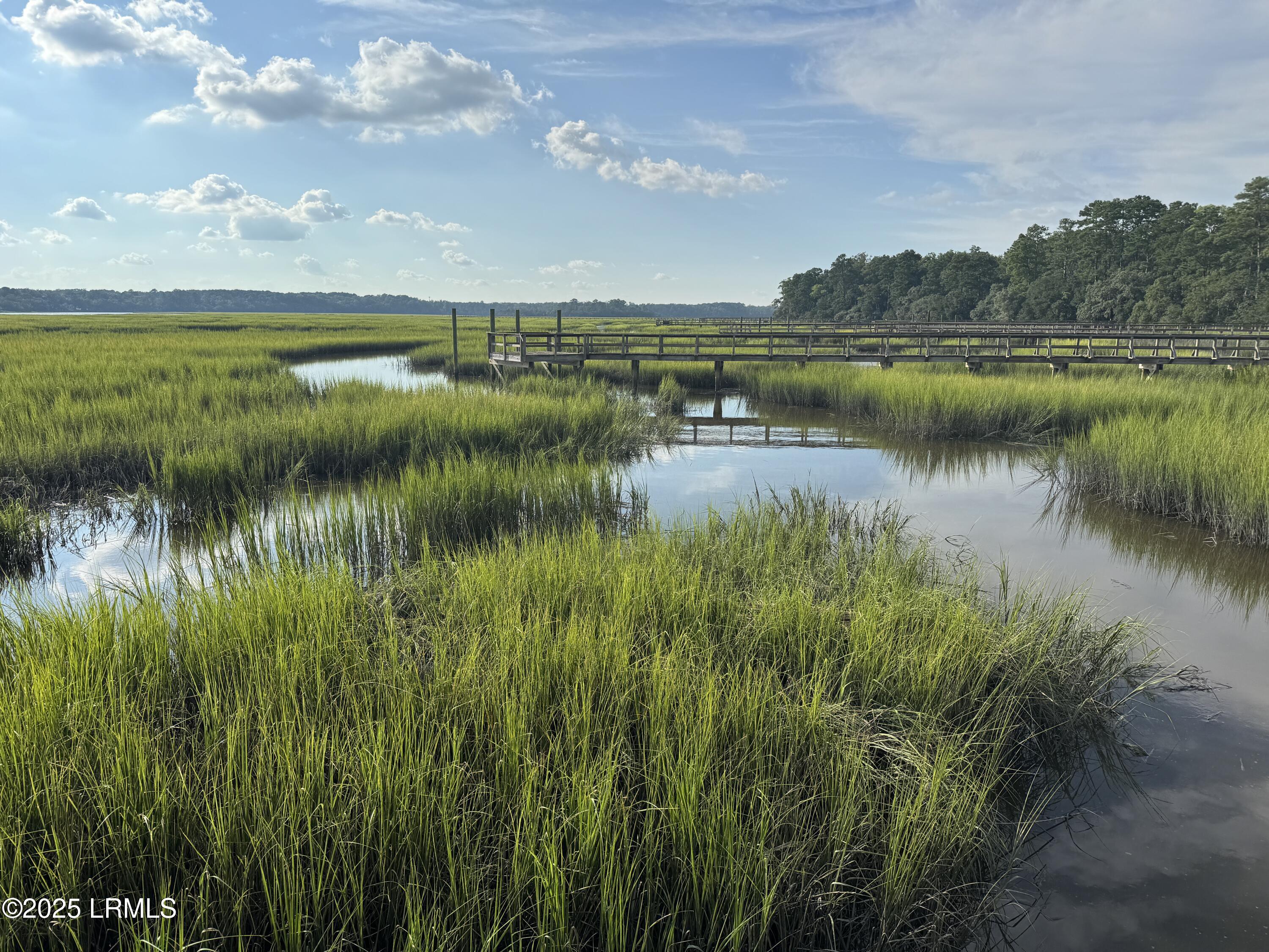 150 Bull Point Drive Seabrook, SC 29940 - Photo 60 of 99 money shot