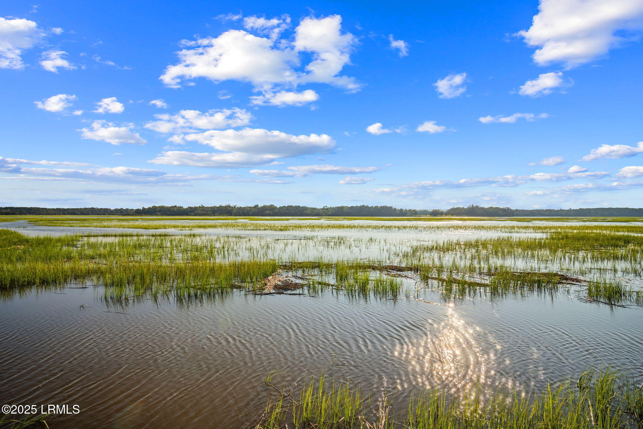 150 Bull Point Drive Seabrook, SC 29940 - Photo 62 of 99 53-web-or-mls-DSC05727