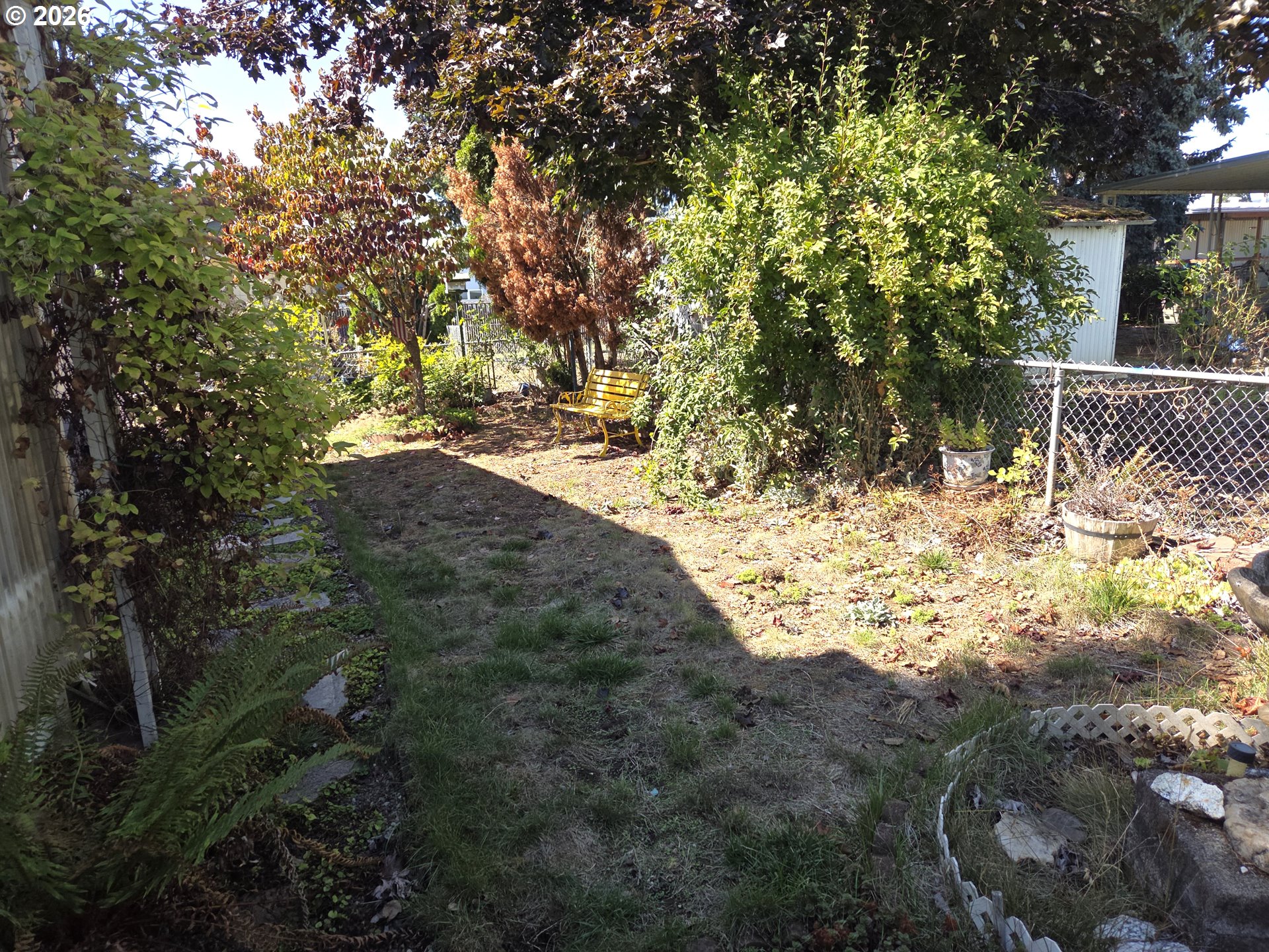 5335 Main Street, Unit 11 Springfield, OR 97478 - Photo 25 of 30 Backyard