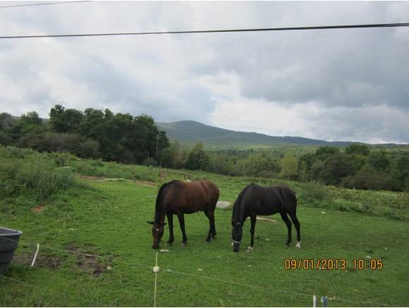 Lot 5 North Jay Road, Unit LOT 5 Jay, VT 05859 - Photo 6 of 6 Gallery Image 6