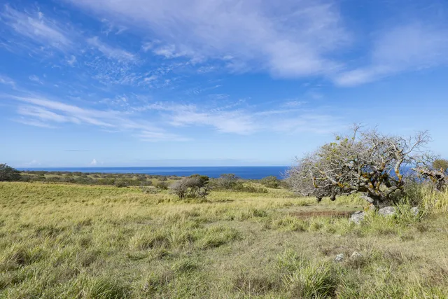 a view of a big yard