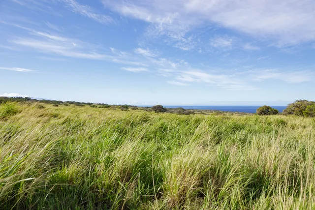 a view of an outdoor space and a lake view