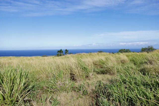 a view of an ocean and beach