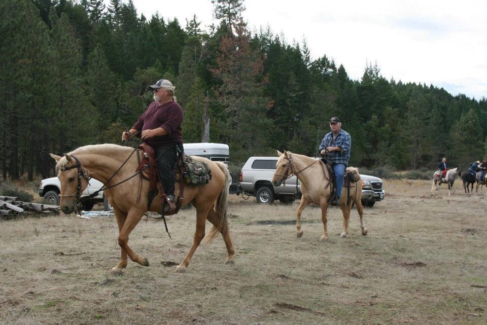 5389 West Side Road Cave Junction, OR 97523 - Photo 10 of 11 Additional Photo