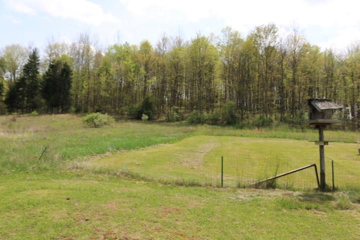 442 State Rte 1037 Kittanning, PA 16201 - Photo 3 of 12