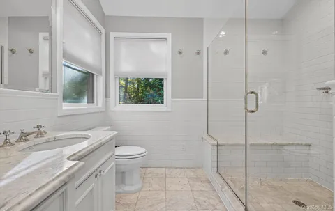 a bathroom with a granite countertop sink a toilet and shower