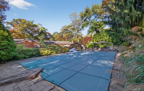 a view of a yard with plants and trees