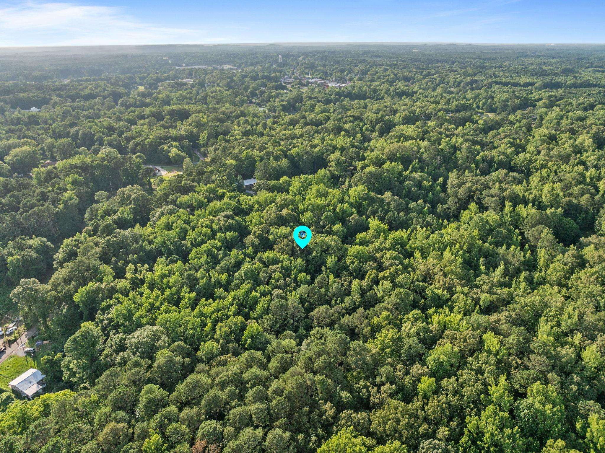 Tbd Spring Street Iuka, MS 38852 - Photo 11 of 12 Aerial view of a forest