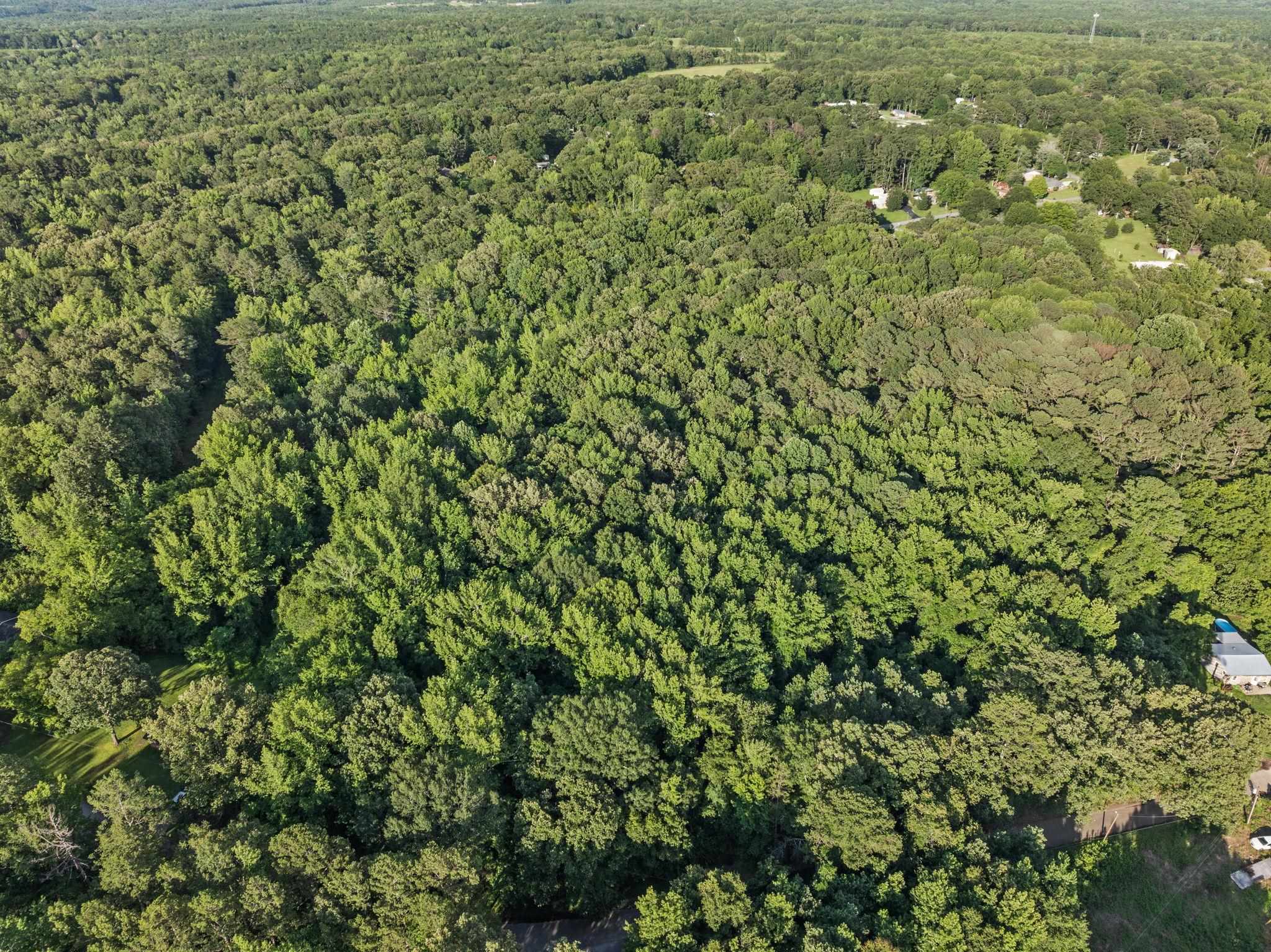 Tbd Spring Street Iuka, MS 38852 - Photo 2 of 12 Bird's eye view of a heavily wooded area
